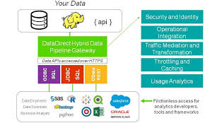 API and Data Handling